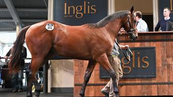 $2.25m colt Congregation wins on debut at Canterbury