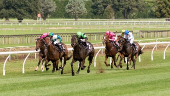 22/7/2023 Horse Racing Tips and Best Bets