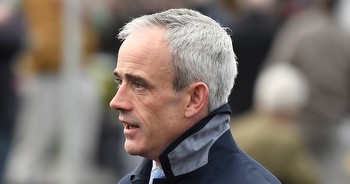 Champion Hurdle at State Man’s mercy, believes Ruby Walsh after Constitution Hill’s absence from this year’s Cheltenham Festival