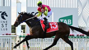 $2.3m offer knocked back as Sheila Laxon eyes Cox Plate