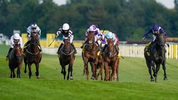 25/1 outsider could spring a surprise at Newbury
