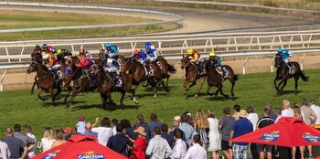 29/11/2023 Horse Racing Tips and Best Bets