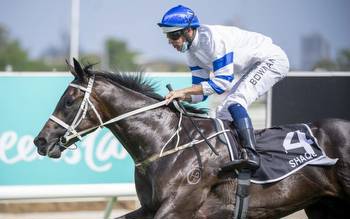 $3.5m Golden Slipper competition heating up