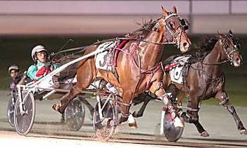 $36,000 co-feature Opens at Yonkers