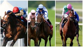 High-profile favourites like Courage Mon Ami, Blue Rose Cen and Nostrum beaten at Qatar Goodwood Festival but can they bounce back?