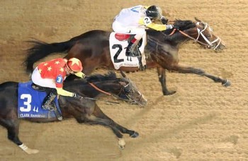 4 live longshots to bet on Saratoga's Woodward Stakes day