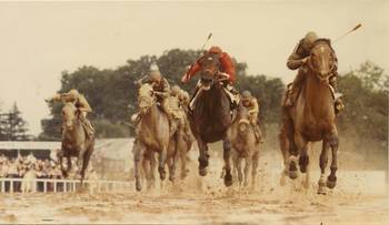 40 years after Deputed Testamony: why no Maryland-bred Preakness winner since? * The Racing Biz