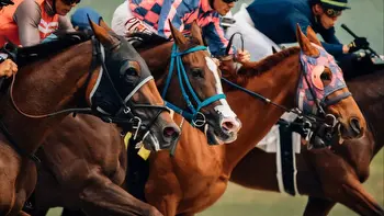 5 Reasons Why Horse Racing Is The Sport Of Kings