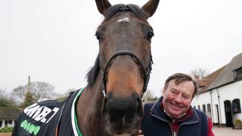 New photos show Constitution Hill looking absolutely MASSIVE as Nicky Henderson faces crucial decision on horse's future
