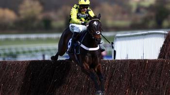 Shishkin DECLARED for Betfair Tingle Creek but punters sceptical of him actually running after Constitution Hill fiasco