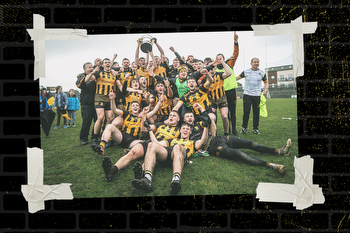 90 years without a home, 60 minutes from a Leinster title