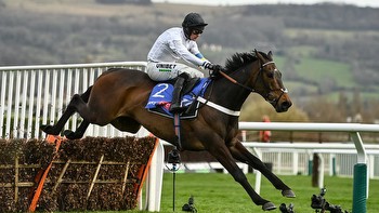 Champion Hurdle winner Constitution Hill is a huge doubt for the Cheltenham Festival after a routine gallop ended in drama