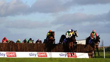 Sky Bet Chase: Full runner guide and expert verdict from Sky Sports Racing senior analyst Jamie Lynch for Doncaster feature