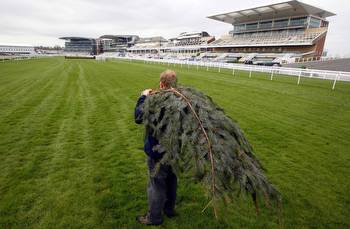 A 16-1 tip for the Topham Chase at Aintree