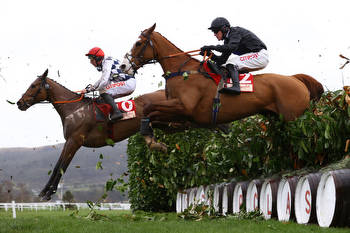 A 28-1 bet for day three at Cheltenham