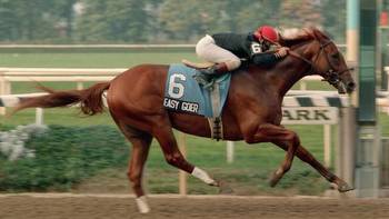 A Classy Champion, 1989 Belmont Stakes Winner Easy Goer