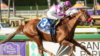 A Closer Look at Breeders’ Cup Classic Contender Slow Down Andy