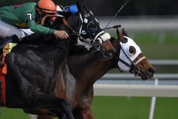 A Complete Betting Guide for the 2024 Pegasus World Cup