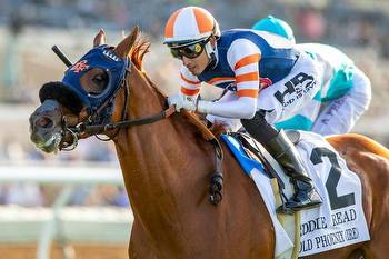 A dozen weekend races are Breeders' Cup 'Win and You're In'