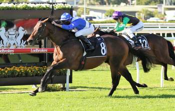 A Golden day at Rosehill for the Eagle