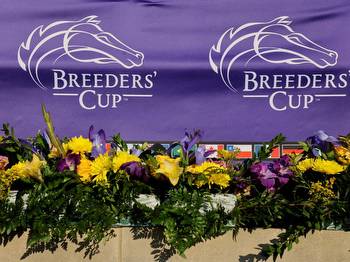 A Guide To Every Single Damn Thing You Need To Know About The Breeder's Cup