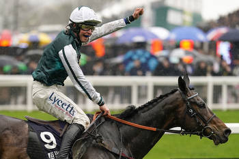 A Horse-By-Horse Guide For The King George VI Chase On Boxing Day