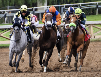A Horse Race Betting Essential: Understanding Speed Figures