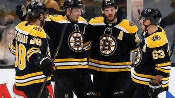 A Look at the NHL’s Best Team: The Boston Bruins