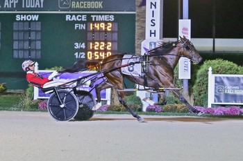 A look at the two-year-old pacing fillies