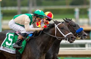 A Mo Reay battles through the stretch to upset Beholder Mile