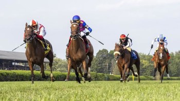 A Narrowly Focused Strategy to Bet Short Field in Flower Bowl Stakes