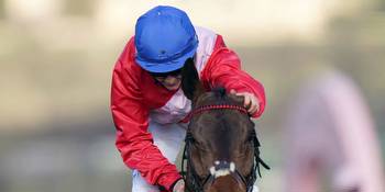 A Plus Tard stars in six entries for Betfair Chase geegeez.co.uk