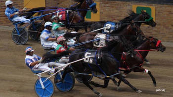 A Rollercoaster Of Racing At Bedford Fair