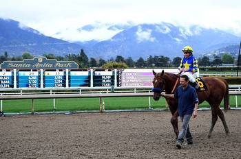 A Rundown Of Top Contenders In Saturday's Santa Anita Derby Race