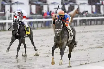 - A Seat in the Bleachers: As second jewel of Triple Crown approaches, racing shows its flaws