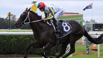 A strong trio of runners gives Kris Lees a strong hand in The Coast at Gosford