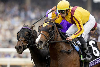 A tip for each of the five Breeders' Cup races on Friday