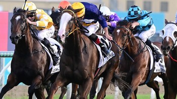 Abounding skips All-Star Mile for Stradbroke