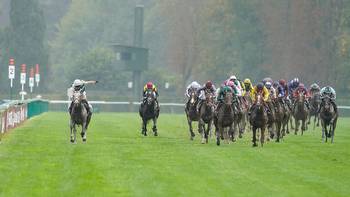 Ace Impact leads Hukum and Westover in Longchamp market