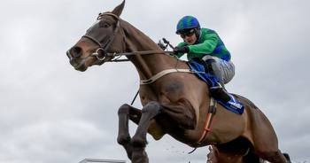 Achill Island native Michael Masterson dreaming of second Cheltenham Festival winner 13 years after first