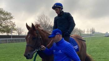 Adayar and Hurricane Lane please connections with Newmarket work