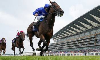 Adayar could be in line to return for September Stakes after missing Coronation Cup at Epsom