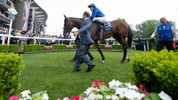 Adayar heads straight to Arc after hind leg infection rules out Niel bid