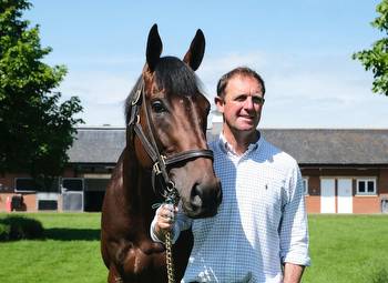 Adayar Heads to Champion Stakes