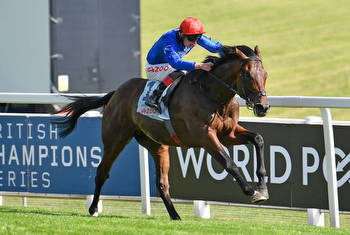 Adayar to miss Arc in favour of Baaeed clash in Champion Stakes