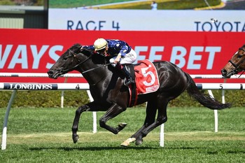 Adrian Bott can't split Spring Champion Stakes contenders