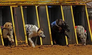 Advocacy Group Calls For Stop To ADW Greyhound Bets