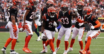 AFC North recap for Week 6 and updated odds to win the division