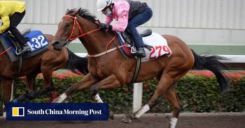 After going viral in Australia as Barocha, Beauty Fit is primed for his Hong Kong debut
