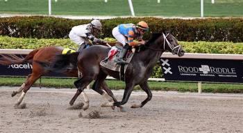 Ahead of the Kentucky Derby, Forte Proved Why He Is the Hot Favorite With a Brilliant Comeback